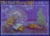 The First Starry Night (Hardcover)
