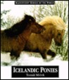 Icelandic Ponies Icelandic Ponies