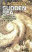 Sudden Sea: The Great Hurricane of 1938 (Hardcover)
