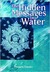 The Hidden Messages in Water (Paperback)