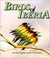 BIRDS OF IBERIA: yyy
