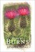 Robert Burns: Selected Poems (B&N Hardcover)