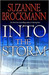 Into the Storm (Troubleshoo...