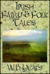 Irish Fairy and Folk Tales (Hardcover)