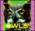 Wild Birds of Prey - Owls