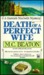 Death of a Perfect Wife (Hamish Macbeth, #4)