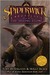 The Seeing Stone (The Spiderwick Chronicles, #2)