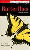 Butterflies of North America Butterflies of North America