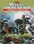 The Mexican-American War