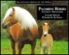 Palomino Horses: Austria's Haflingers Palomino Horses: Austria's Haflingers