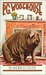 Blanding's Castle (Paperback)