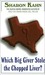 Which Big Giver Stole The Chopped Liver? A Ruby, The Rabbi's Wife Mystery