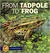 From Tadpole to Frog (Unknown Binding)
