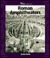 Roman Amphitheaters
