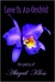 Love Is an Orchid