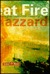 The Great Fire (Hardcover)