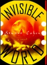 Invisible World Invisible World