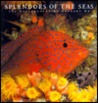 Splendors of the Seas Splendors of the Seas