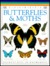 Butterflies and Moths