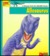 Looking At   Allosaurus: A ...