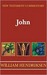 New Testament Commentary Exposition of the Gospel According to John: Two Volumes Complete in One