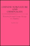 Chinese Subculture and Criminality: Non-Traditional Crime Groups in America