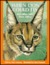 When Lion Could Fly: And Other Tales from Africa