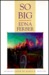 So Big (Paperback)