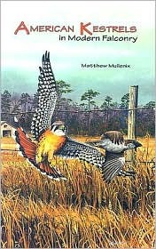 American Kestrels in Modern Falconry