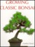Growing Classic Bonsai