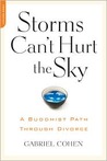 The Storms Can't Hurt the Sky by Gabriel Cohen