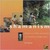 Shamanism: Guide for Life (New Life Library (Southwater))