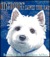 McDuff Saves the Day (Hardcover)