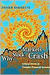 Why Stock Markets Crash by Didier Sornette