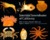 Intertidal Invertebrates of California