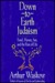 Down-To-Earth Judaism: Food, Money, Sex, and the Rest of Life