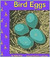 Bird Eggs (Birds) (Pebble Books)
