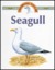 Seagull
