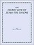 The Secret Life of Jesus the Essene (Essene-Jesus-Apollonius Series Vol. 2)