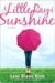 A Little Ray of Sunshine (ebook)