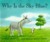 Why is the Sky Blue? (Hardcover)