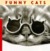 Funny Cats