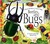 Beetles and Bugs: A Maurice...