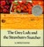 The Grey Lady and the Strawberry Snatcher (Hardcover)