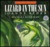 Lizard in the Sun (Paperback)