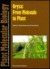 Oryza: From Molecule to Plant