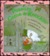 Possum Come A-Knockin' (Hardcover)