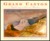 Grand Canyon: Exploring a N...