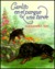 Carlito En El Parque Una Tarde: Spanish Version of Carl's Afternoon in the Park = Carl's Afternoon in the Park (Hardcover)