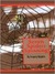 Seven Spiders Spinning (Hardcover)